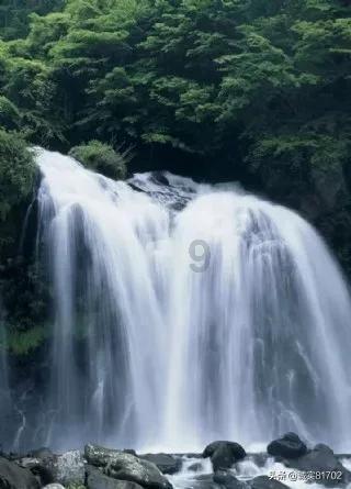 救援小绿龙
